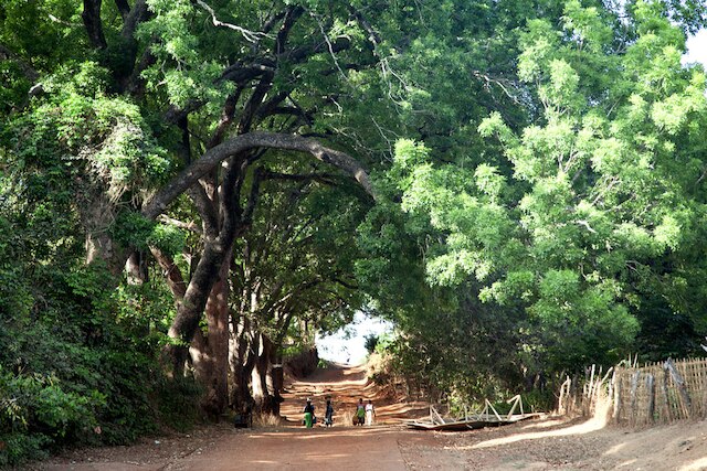 Guinea-Bissau