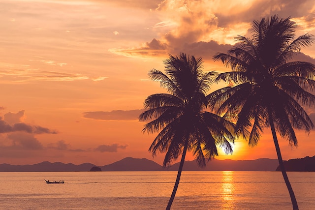 Kepulauan Hawaii