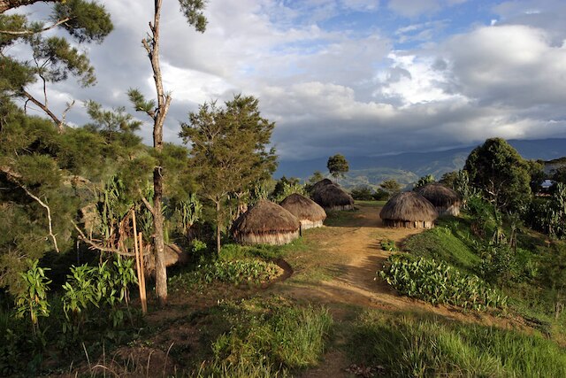 Papua New Guinea